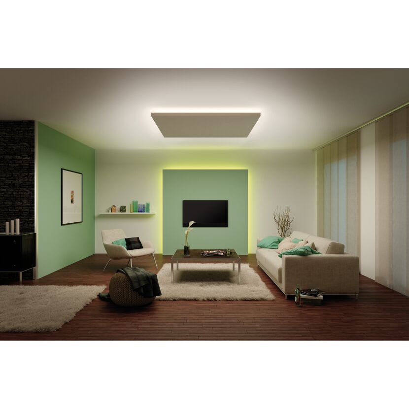 Function MaxLED 1000 Strip 1 m Warmweiß 13,5 W 24 V Silber