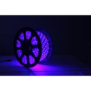LED-Lichtschlauch 'Lius' blau 50 m