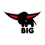 Weitere Produkte von BIG anzeigen