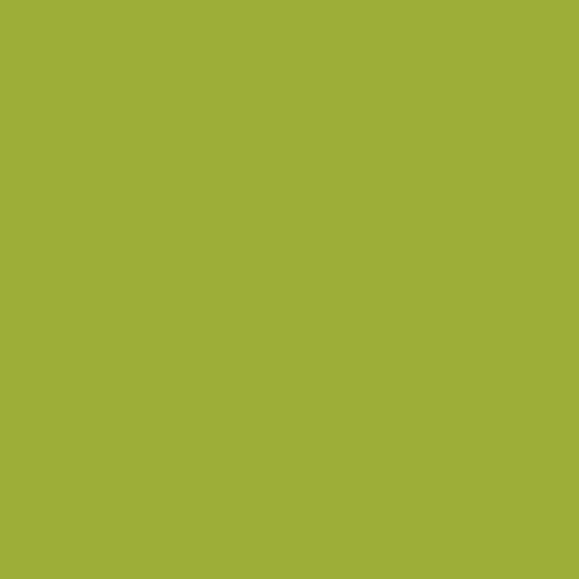 Wohnraumfarbe grasgrün matt 1 l + product picture