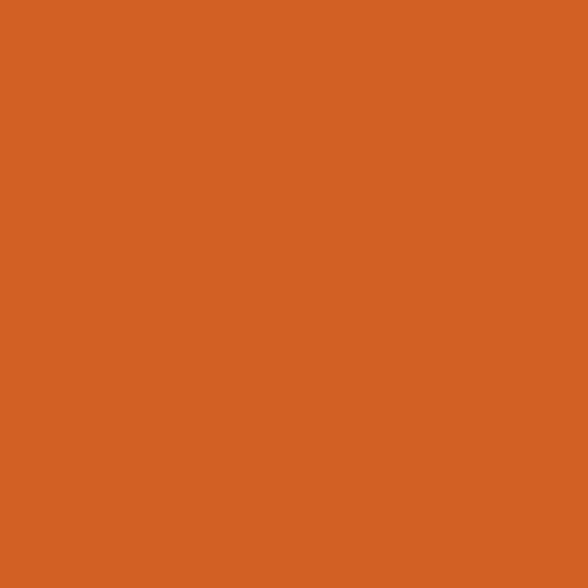 2in1 Buntlack 'Feuerglut' orange glänzend 375 ml + product picture