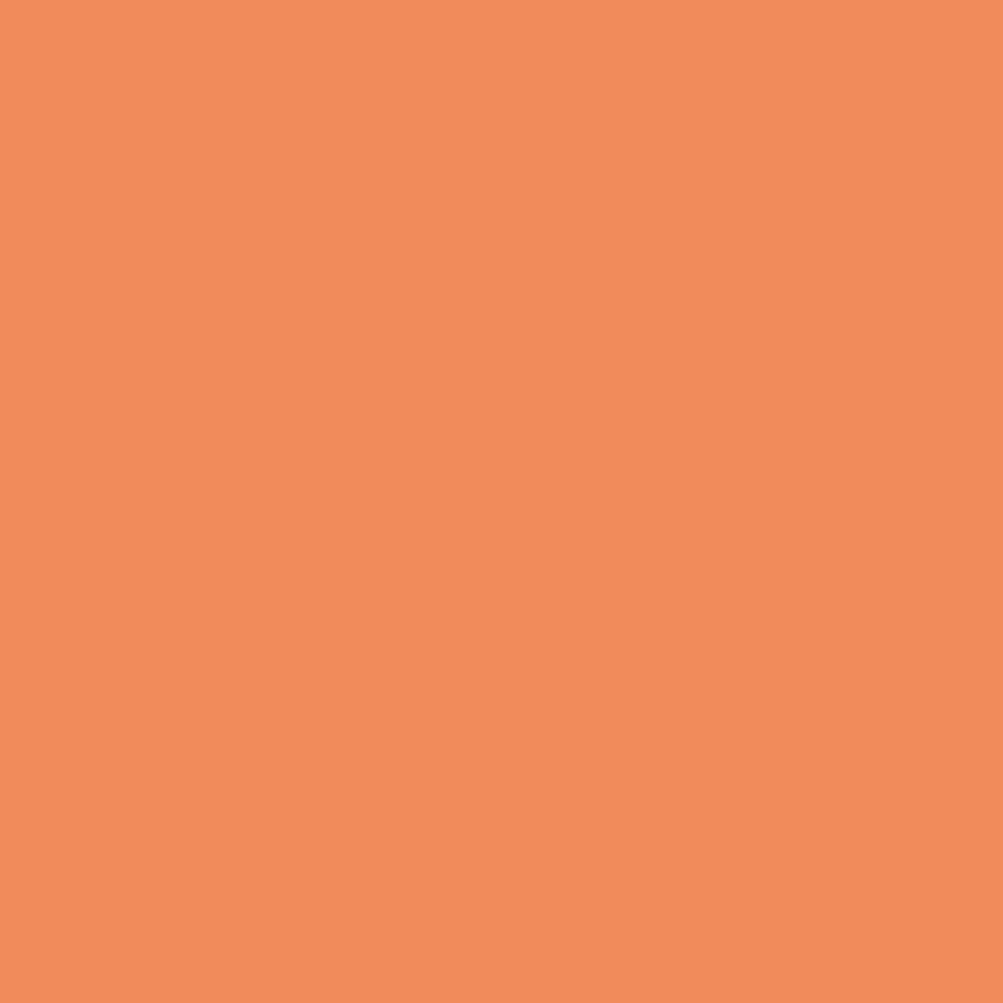 Wohnraumfarbe orange matt 1 l + product picture