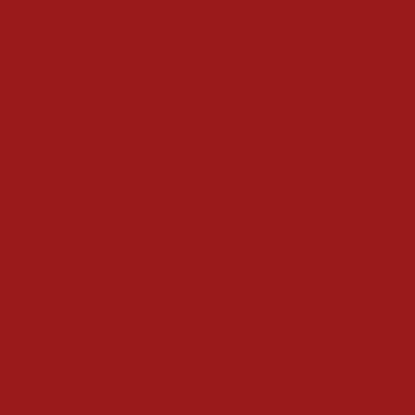 Univer. Sprühlack Schatten rot
