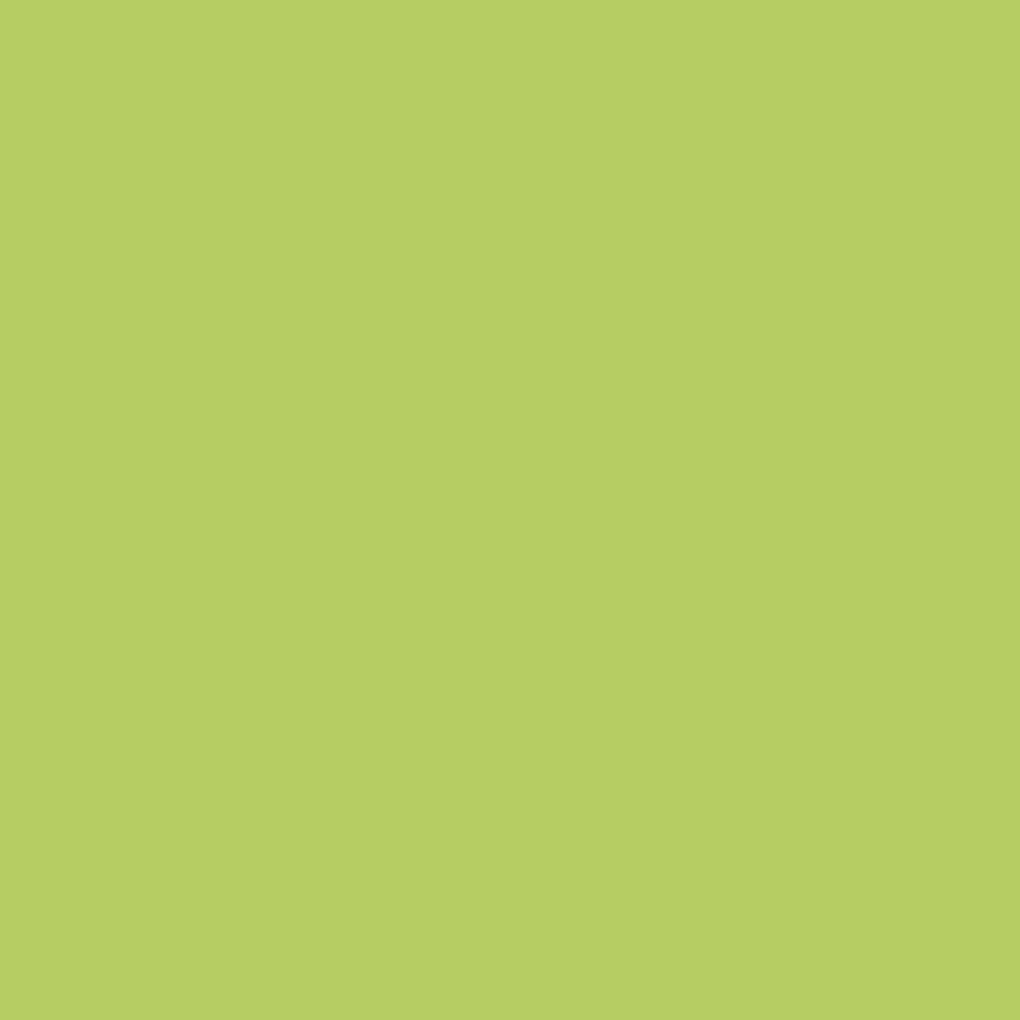 Premium-Buntlack hellgrün glänzend 500 ml + product picture