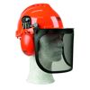 Forstschutzhelm