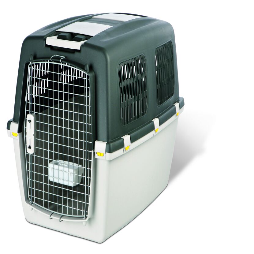 Graue Hundebox mit Metalltür