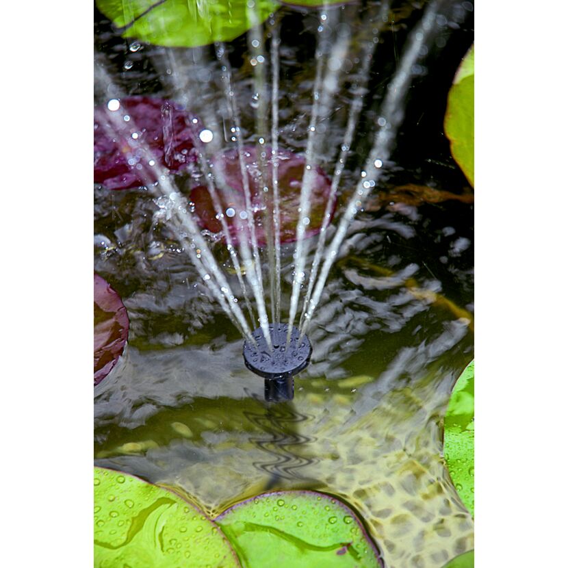 Springbrunnen in Teich mit Seerosenblättern