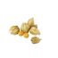 Physalis