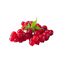 Rote Johannisbeeren mit Blättern