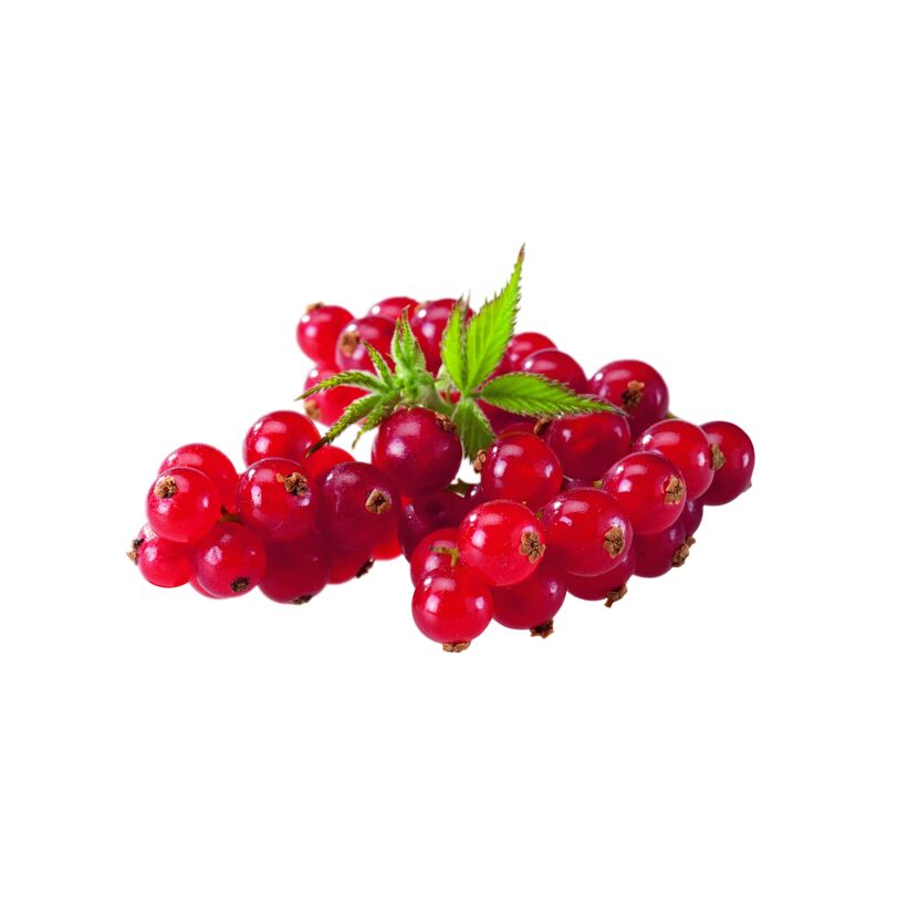 Rote Johannisbeeren mit Blättern