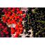 Rote und schwarze Johannisbeeren auf Holztisch