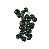 Schwarze Johannisbeeren an Stiel