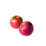 Verkleinertes Bild von Naturtalent by toom® Bio Apfel 'Roter Boskoop', Halbstamm®