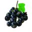 Schwarze Johannisbeeren an einem Zweig mit Blättern