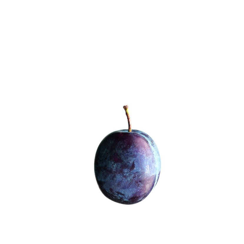 Eine einzelne blaue Pflaume vor weißem Hintergrund.