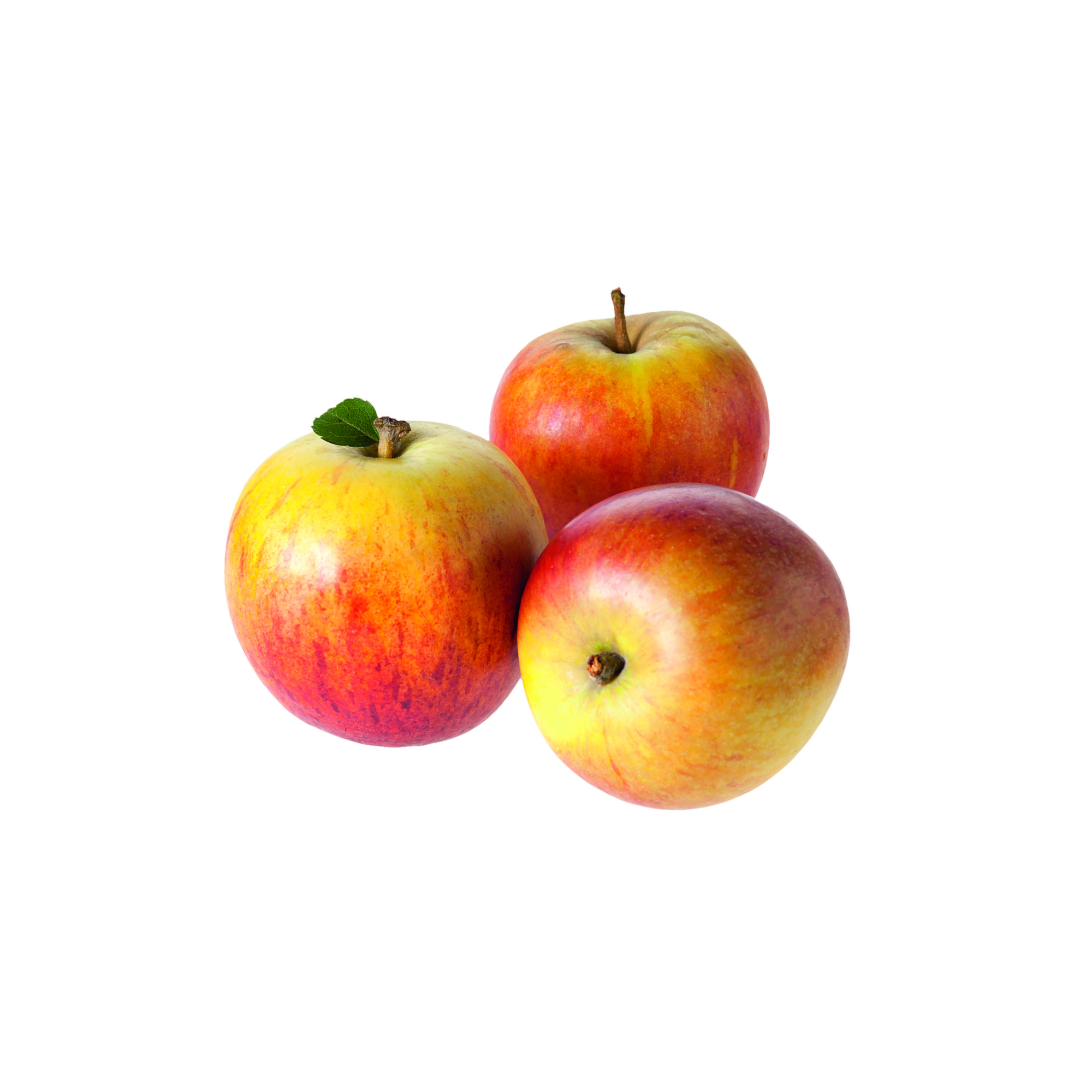 Naturtalent by toom® Bio Apfel 'Holsteiner Cox', Busch 25 cm Topf + product picture