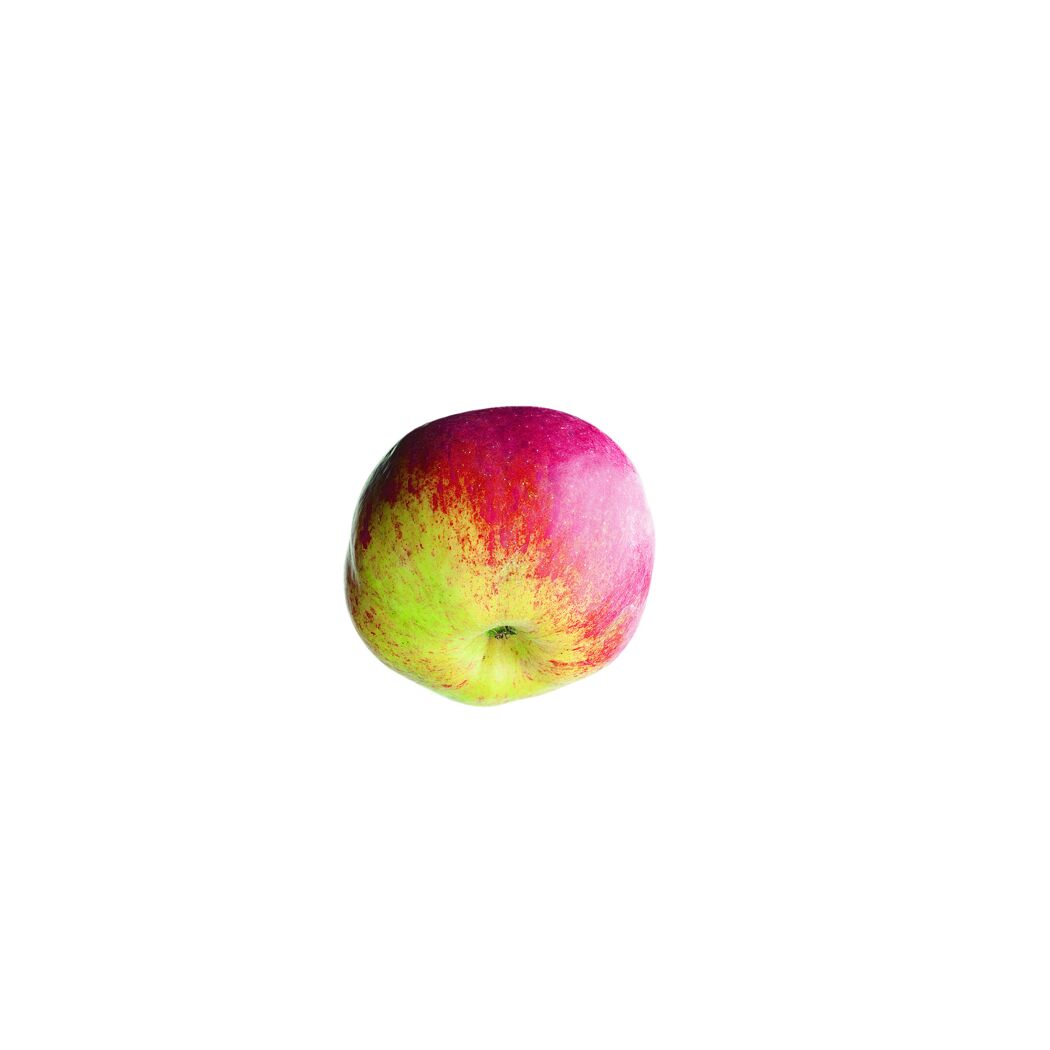 Ein rot-grüner Apfel, Sorte Idared.