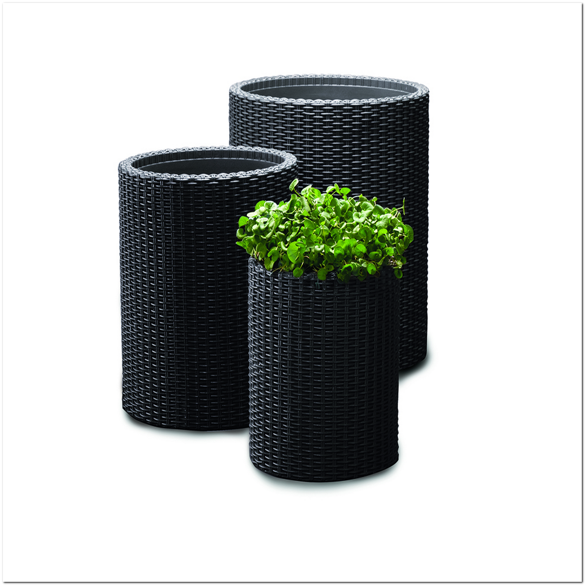 Drei schwarze Pflanzkübel im Korbdesign