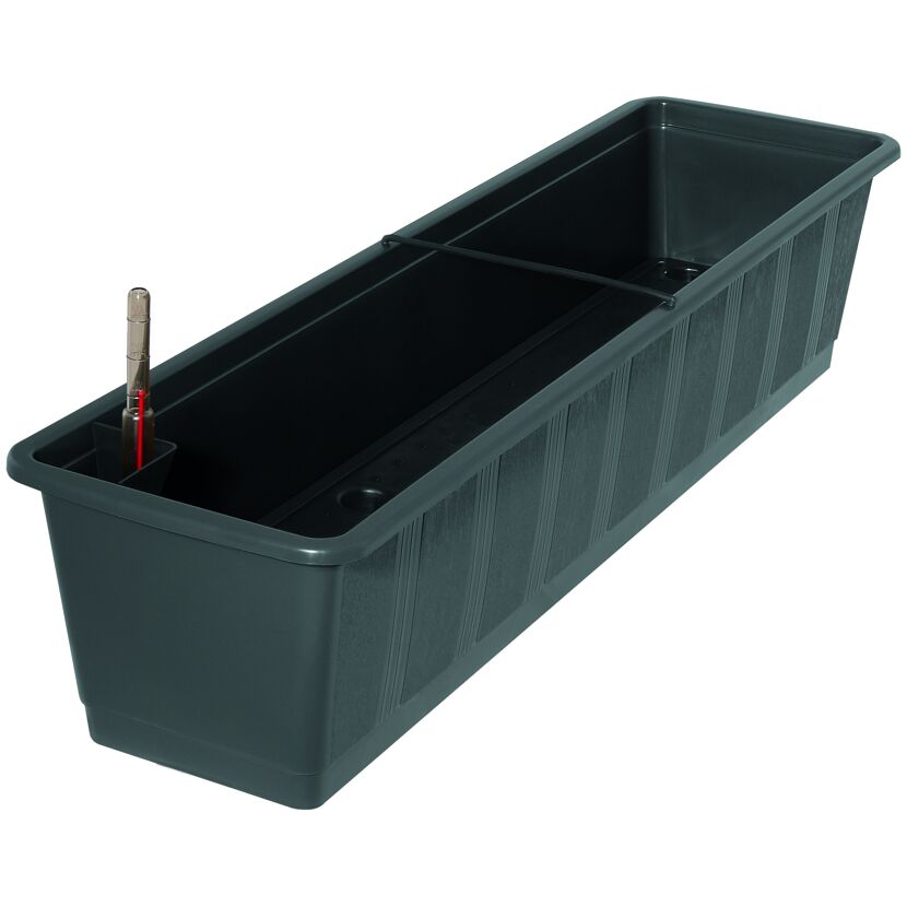 Kasten Aqua Green