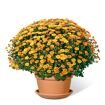 hauptbild