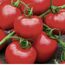 Verkleinertes Bild von Naturtalent by toom® Bio-Tomate verschiedene Sorten veredelt 13 cm Topf