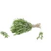 hauptbild
