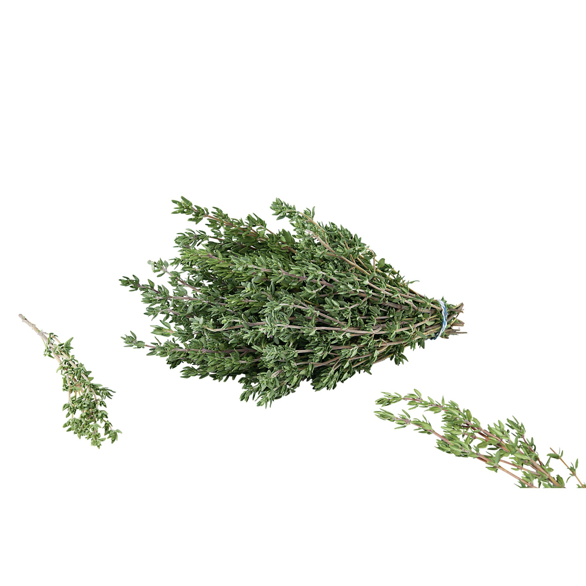 Bündel frischer Thymianzweige