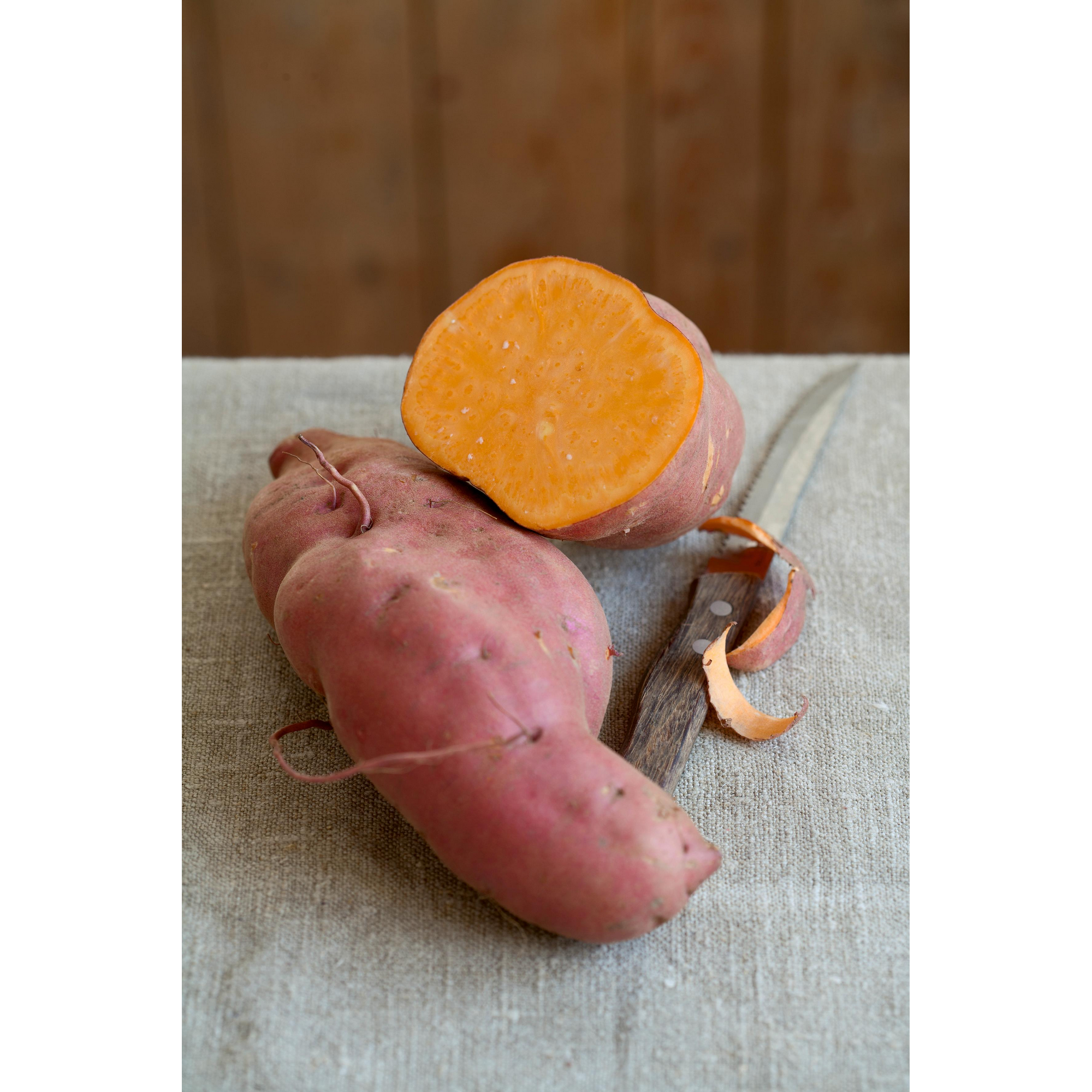 Süßkartoffel + product picture