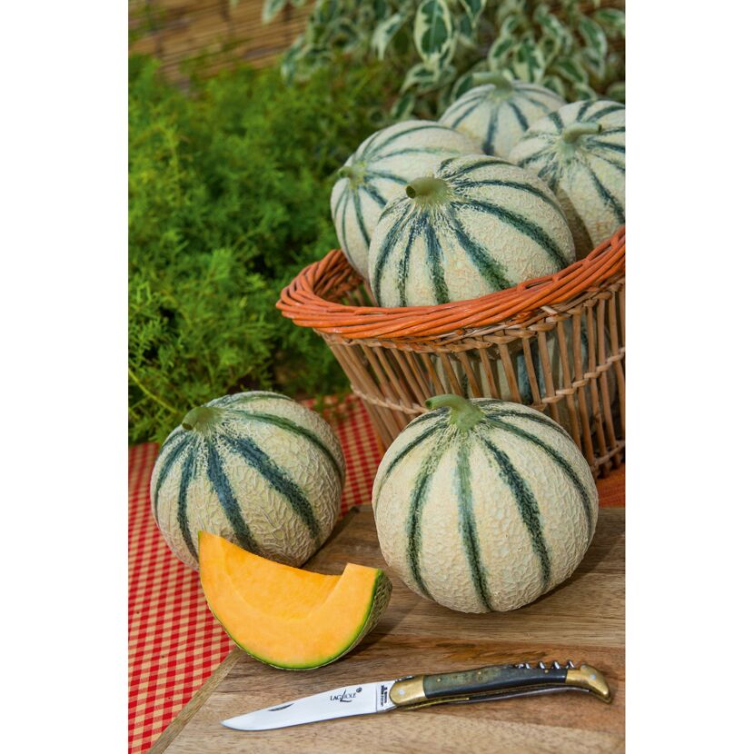 Gestreifte Melonen in einem Korb und auf einem Schneidebrett mit Messer