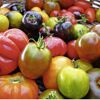 Bunte Tomaten in einem Korb.
