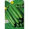 Gurken mit Blättern und gelber Blüte