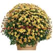 hauptbild