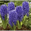 hauptbild