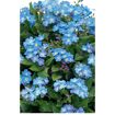 hauptbild