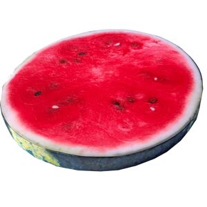 Sitzkissen 'Melone' rot Ø 40 cm