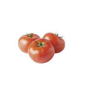 Naturtalent by toom® Bio-Tomate 'St. Pierre', 9 cm Topf, 3er-Set