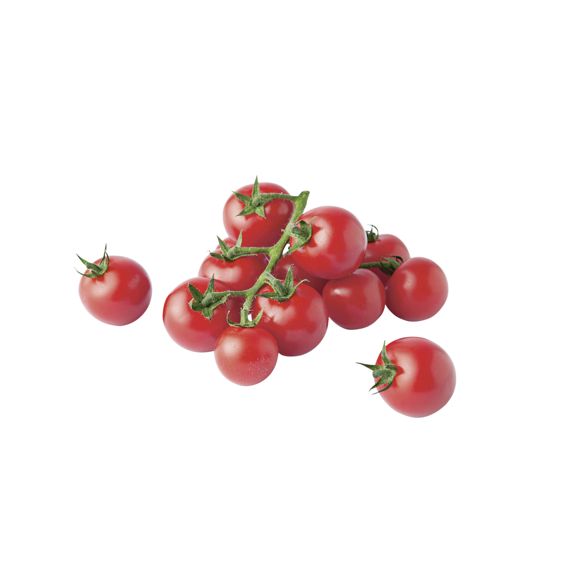 Naturtalent by toom® Bio Veredelte Tomate 'Amoroso', 13 cm Topf + product picture