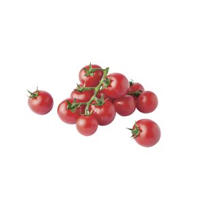 Naturtalent by toom® Bio Veredelte Tomate 'Amoroso', 13 cm Topf