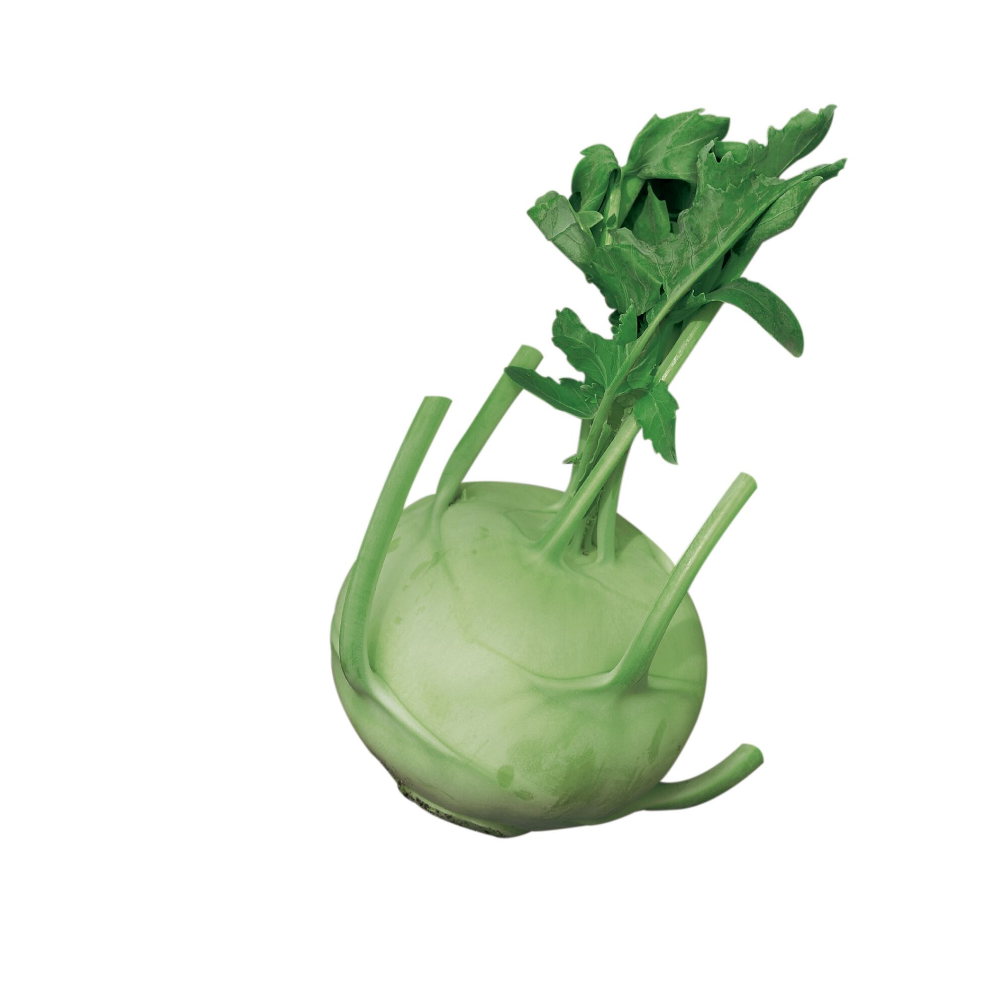 Kohlrabi mit Blättern