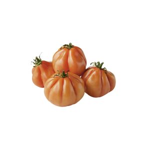 Naturtalent by toom® Historische Bio-Tomate 'Ochsenherz', 11 cm Topf, 2er-Set