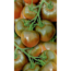 Verkleinertes Bild von Naturtalent by toom® Historische Bio-Tomate 'Schwarze Krim', 11 cm Topf, 2er-Set