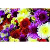 Bunter Strauß aus verschiedenen Blumen.