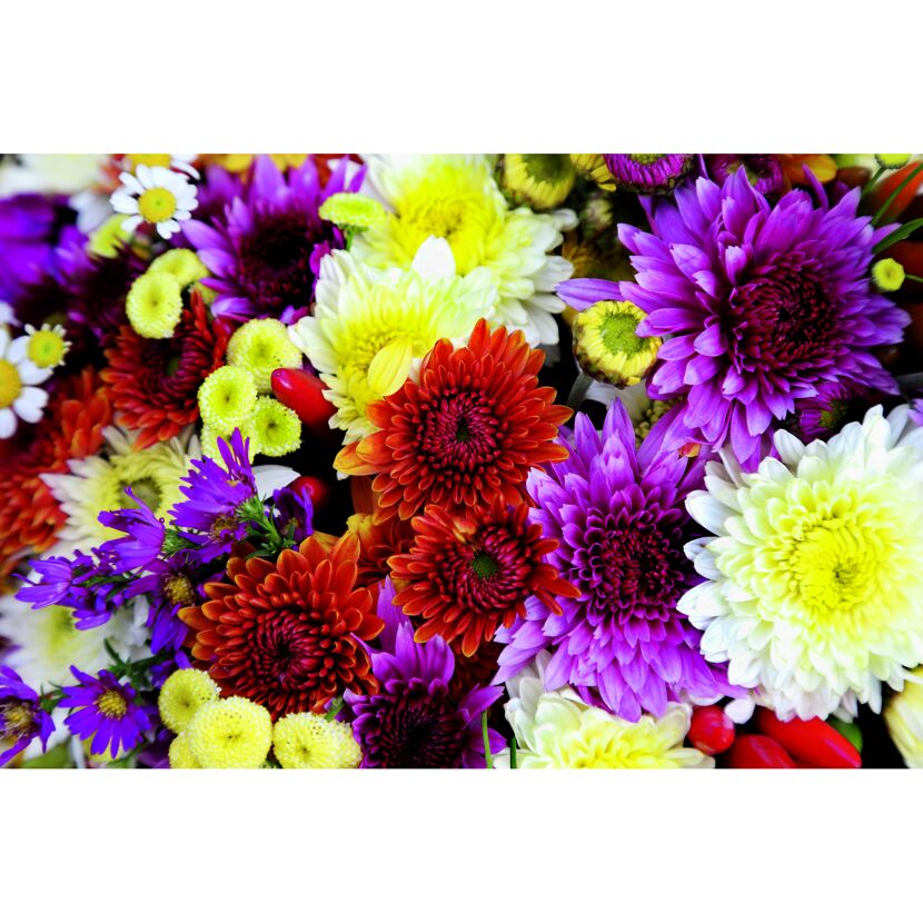 Bunter Strauß aus verschiedenen Blumen.