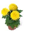 hauptbild