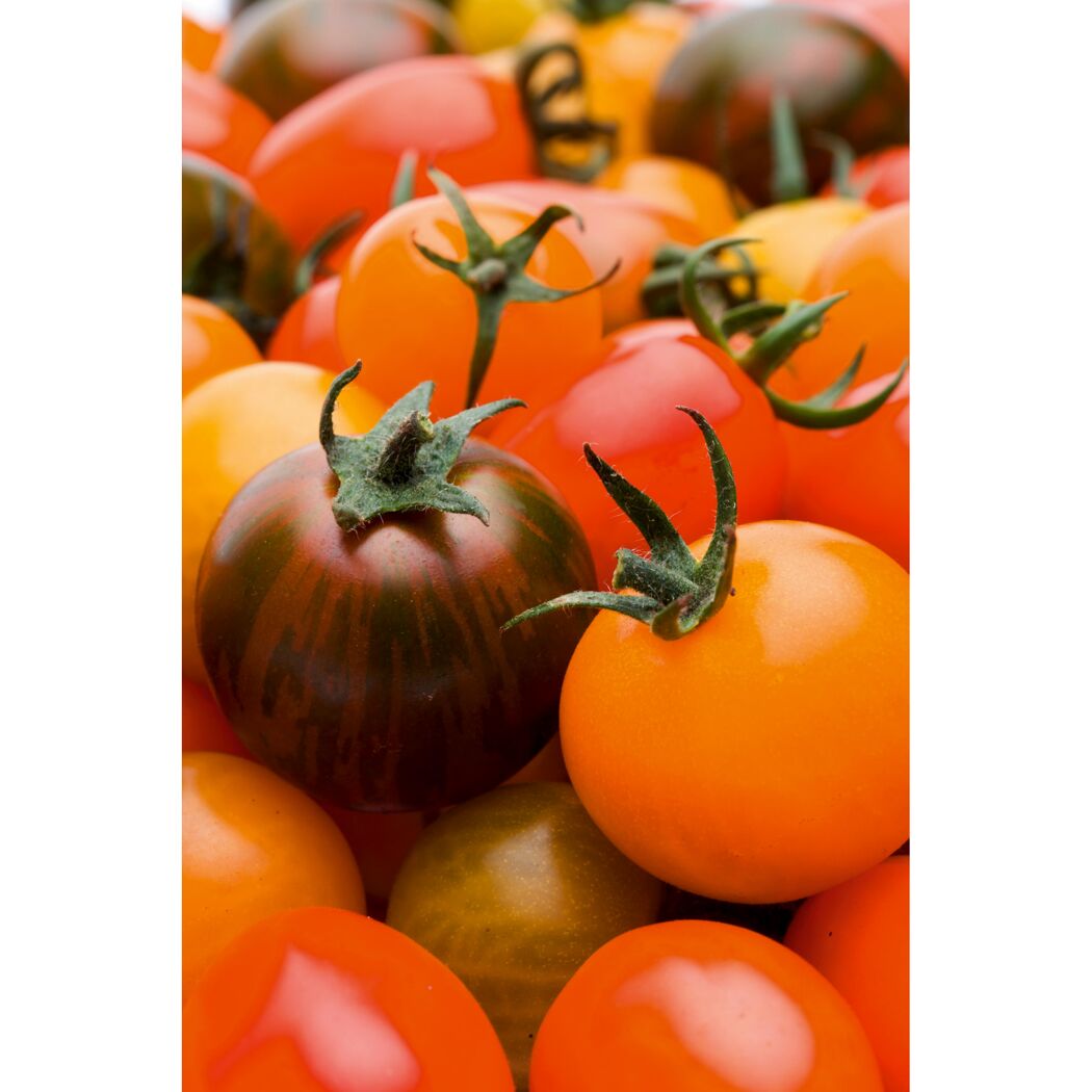 Balkontomaten
