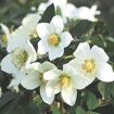 hauptbild