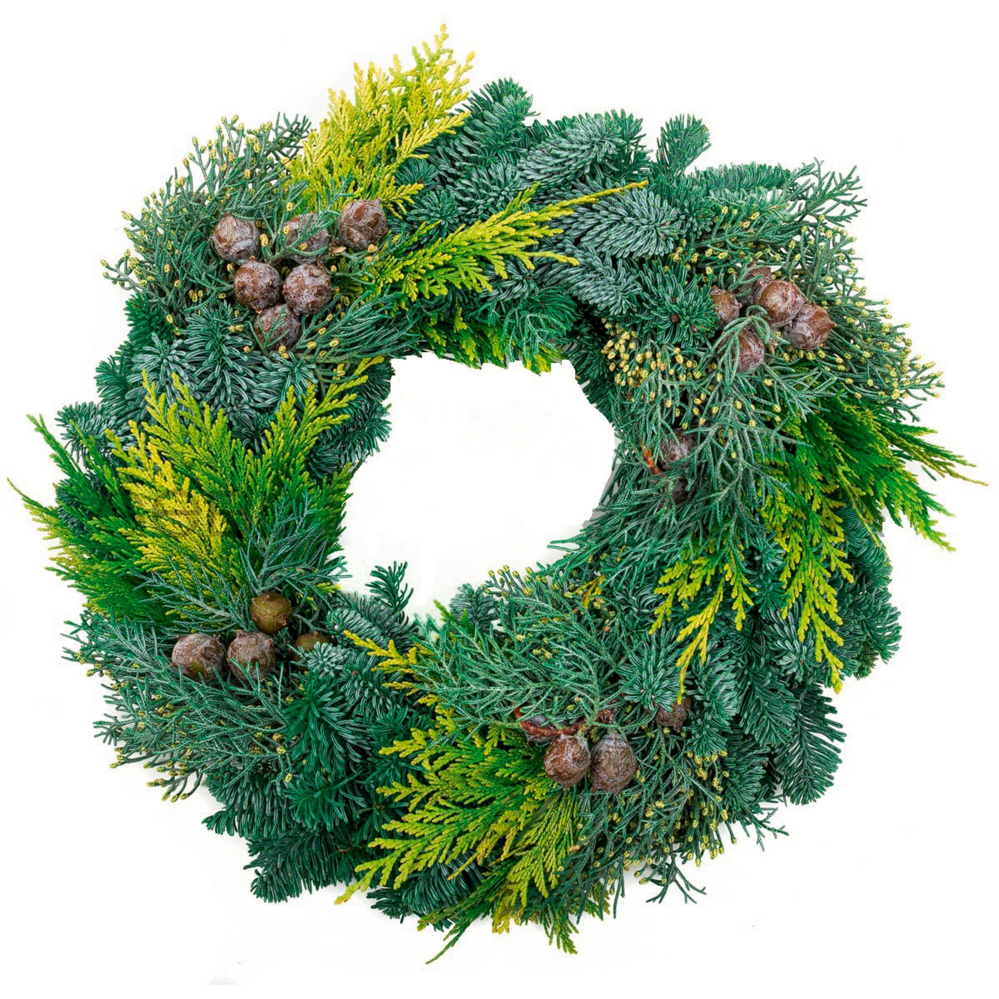 Dekorativer Kranz aus grünen Zweigen und braunen Zapfen.