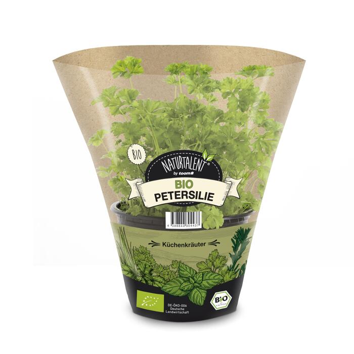 toom Naturtalent by toom® BioPetersilie kraus 12 cm Topf, 2erSet