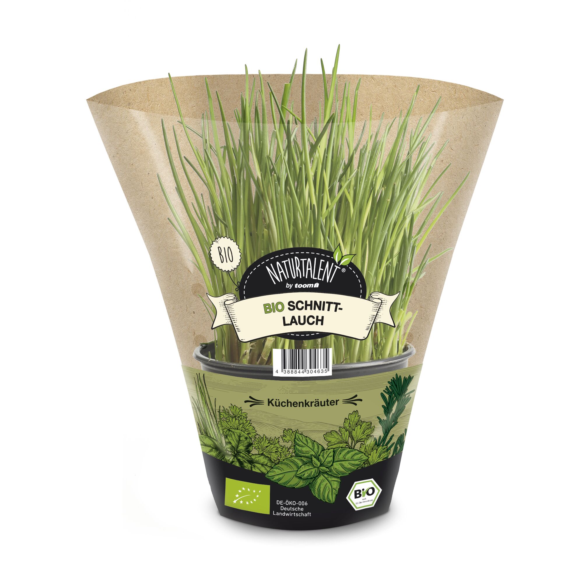 Bio Schnittlauch im Topf
