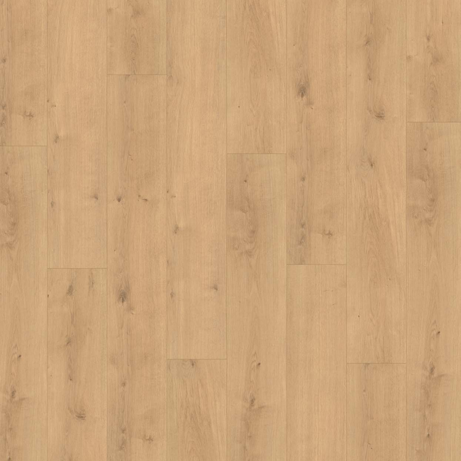 Bild von Designboden 'Modular ONE' Eiche Pure natur braun 8 mm